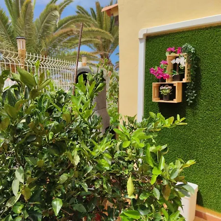 Apartamento Fantastic And Relaxing In The South Of Tenerife. Adeje